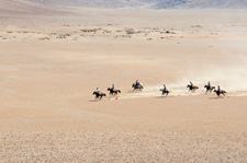 Namibia-Namibia-Damara Elephant Trail to Skeleton Coast